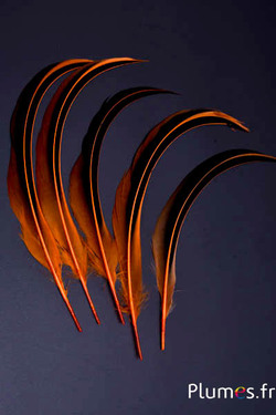Canard Mandarin - 15-20 cm - orange